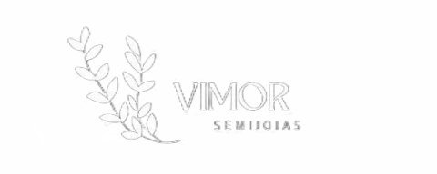 Vimor_semijoias