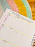 Planner de Estudos Master