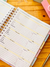 Planner de Estudos Master na internet