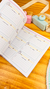 Planner Devocional Quadrado: Capa Flowers na internet