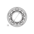 Cobertor Shrouds Morimoto G37C-R en internet