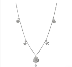 Colar concha estrela zircônia - comprar online