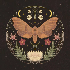 VERIDYA {Água de colônia} - Kementari - Ateliê Lab.
