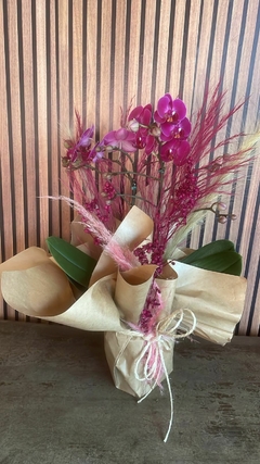ORQUÍDEA