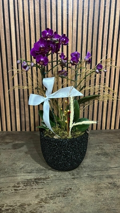 ORQUÍDEA