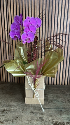 ORQUÍDEA