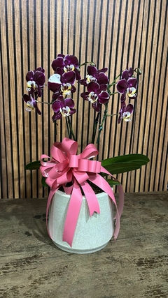 ORQUÍDEA