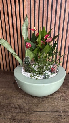 Coquetel de plantas
