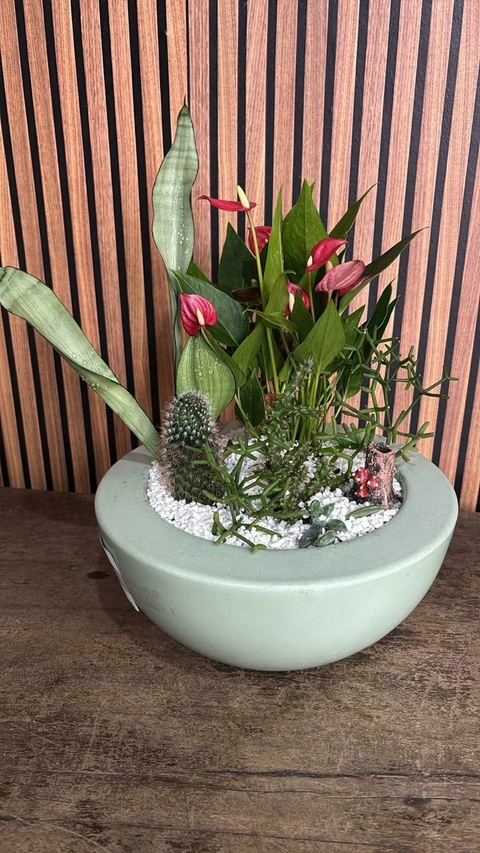 Coquetel de plantas