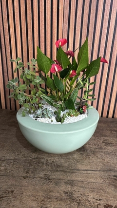 Coquetel de plantas