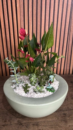 Coquetel de plantas