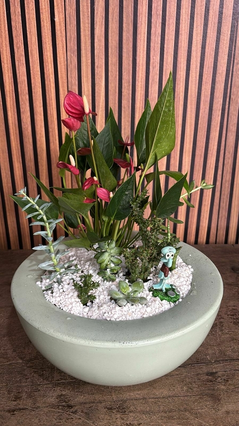 Coquetel de plantas