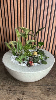Coquetel de plantas