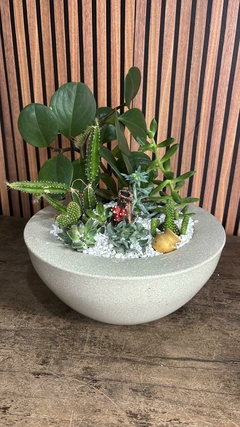 Coquetel de plantas