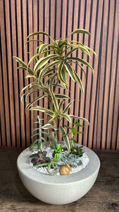 Coquetel de plantas