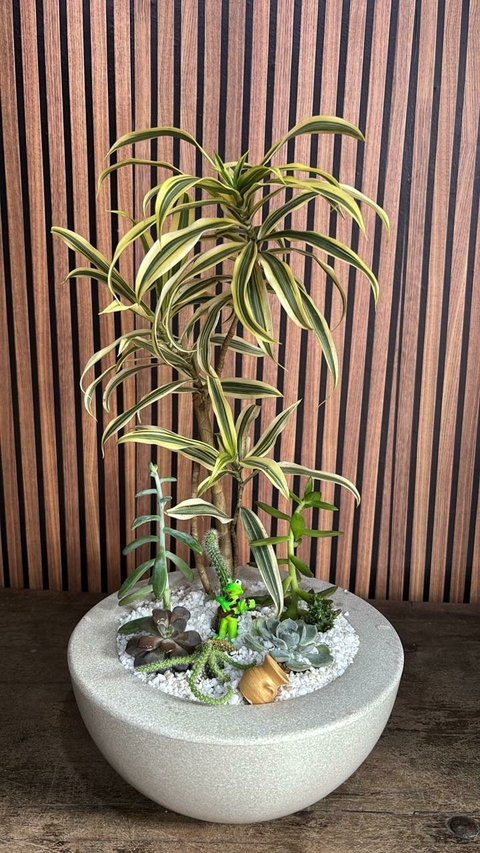 Coquetel de plantas