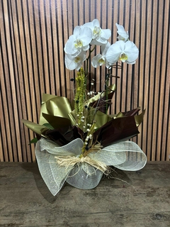 ORQUÍDEA