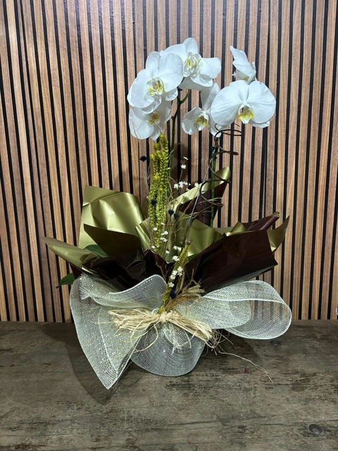 ORQUÍDEA