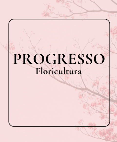 Carrusel floriculturaprogressobh