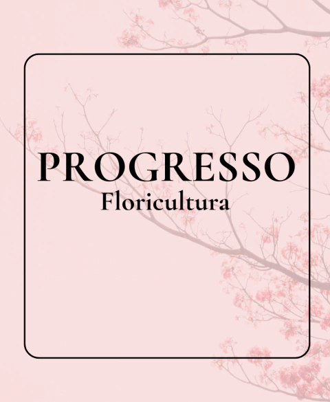 Carrusel floriculturaprogressobh