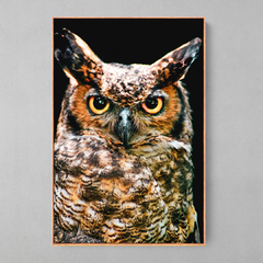 Quadro Corujão de Orelha (Bubo Virginianus) - Ellquadros Art Gallery