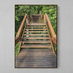 Quadro Decorativo Escada Floresta Amazônica - Ellquadros Art Gallery