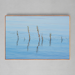 Quadro Decorativo Azul no Teles Pires - Ellquadros Art Gallery