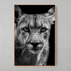 Quadro Onça Parda - Ellquadros Art Gallery