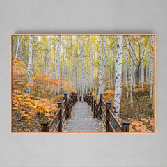 Quadro Ponte da Floresta - Ellquadros Art Gallery