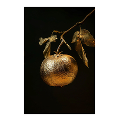 Quadro Decorativo Fruto do Tempo - Ellquadros Art Gallery
