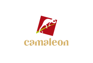 Ateliê Camaleon