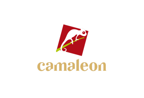 Ateliê Camaleon