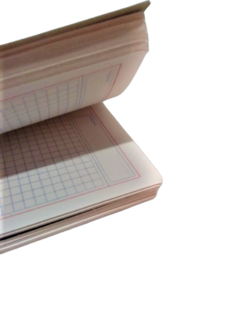 Libreta Profesional de 200 hojas Cuadro Chico Marca Estrella - Papelería Cared