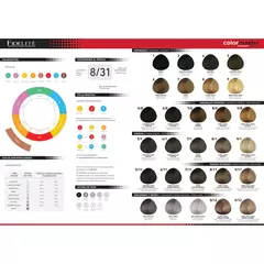 Tintura Coloramaste x 60g - Fidelite en internet