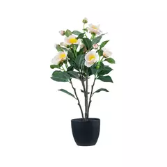 Planta Flores Camelias 60cm. - comprar online