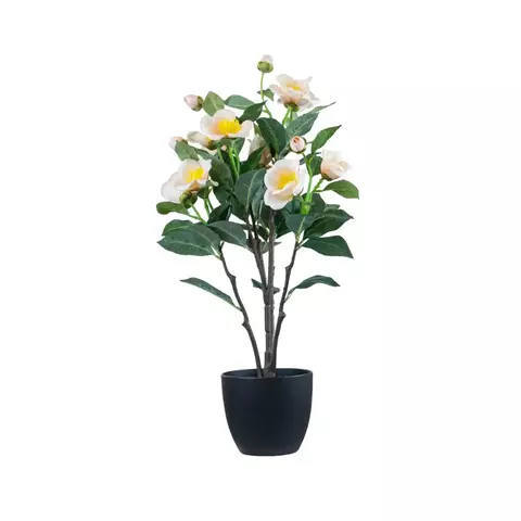 Planta Flores Camelias 60cm. - comprar online