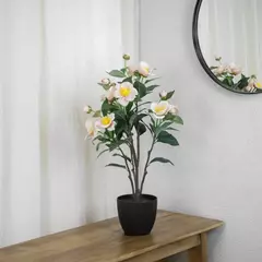 Planta Flores Camelias 60cm. en internet