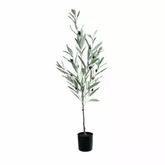 Olivo Mediterráneo 85cm. - comprar online