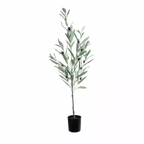 Olivo Mediterráneo 85cm. - comprar online