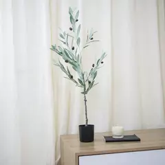 Olivo Mediterráneo 85cm. en internet