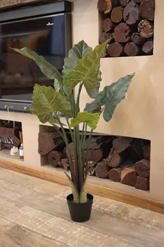 Planta Oreja de Elefante 110cm. - Soul Home Deco