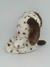 Cachorrinho Dálmata Olhos Brilhantes Pelúcia Br Machine Brinquedo - Pelúcias - comprar online