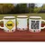 Caneca Personalizada Coleção Instrutor de Trânsito Com Nome - Profissões