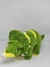 Dinossauro Triceratops Pelúcia Brinquedo Bordado - Pelúcias - CB Presentes Criativos