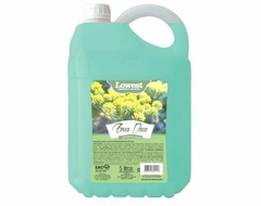 SABONETE LIQ ERVA DOCE 5LT LOWEST