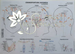 Mapa Plastificado - Craniopuntura Chinesa - comprar online