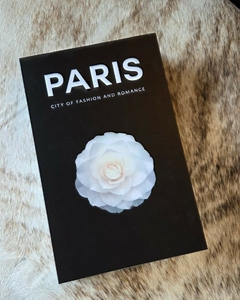 Libro decorativo PARIS - comprar online
