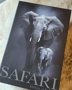 Libro Caja SAFARI