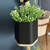 Conjunto de Vasos Vert Parede na internet