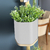 Conjunto de Vasos Vert Parede - loja online